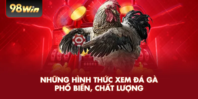 Những hình thức xem đá gà phổ biến, chất lượng